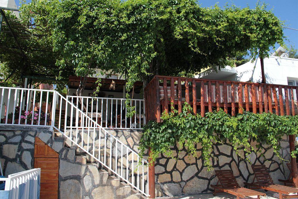 Zeybek 1 Pension พาทารา ภายนอก รูปภาพ